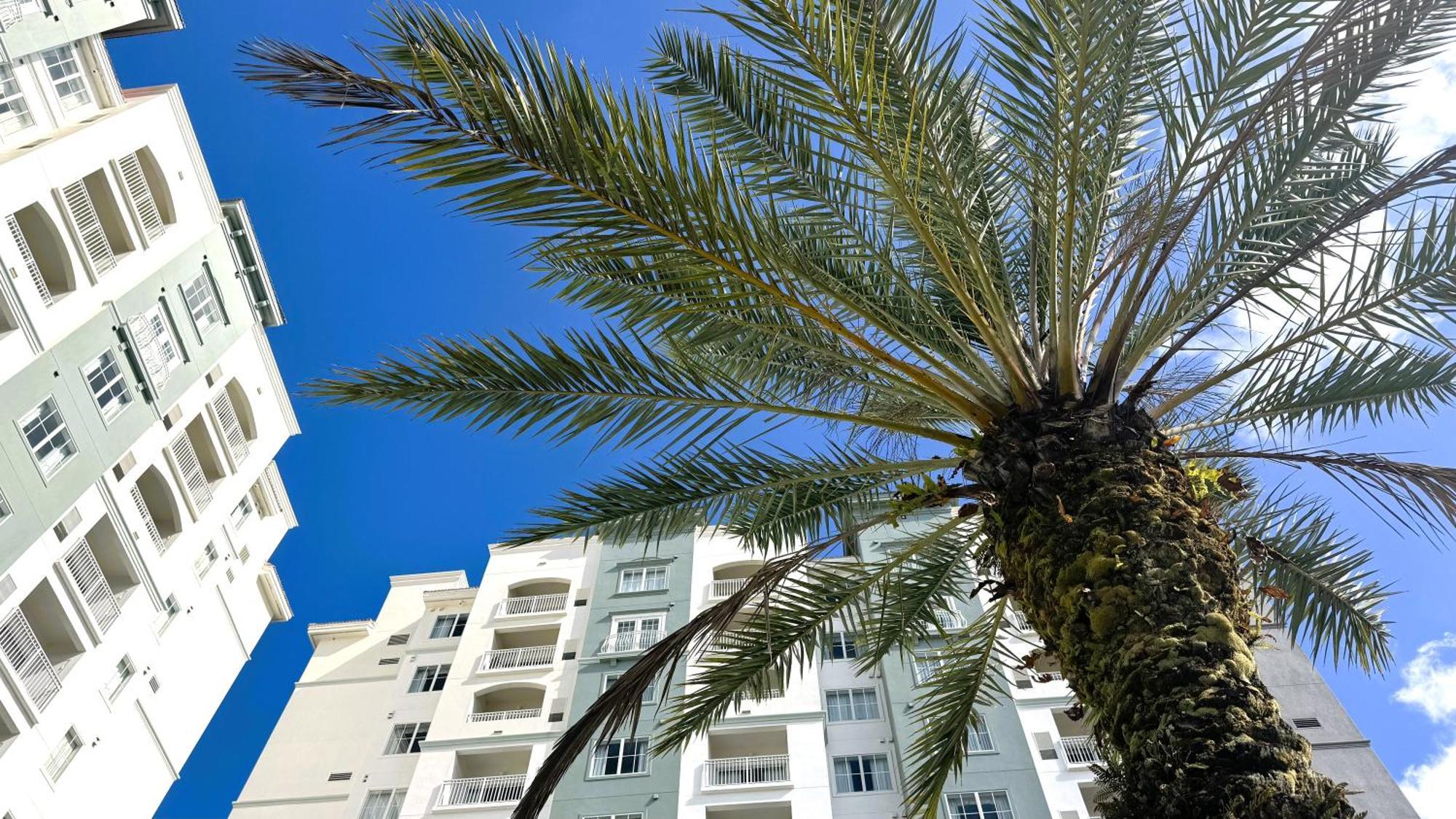 The Point Hotel & Suites Universal Орландо Екстериор снимка